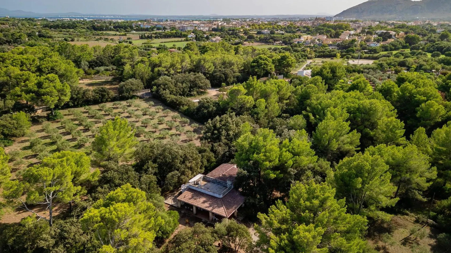 Casa Can Simo Alcudia By Mallorca Villa Selection 0*, אלקודיה